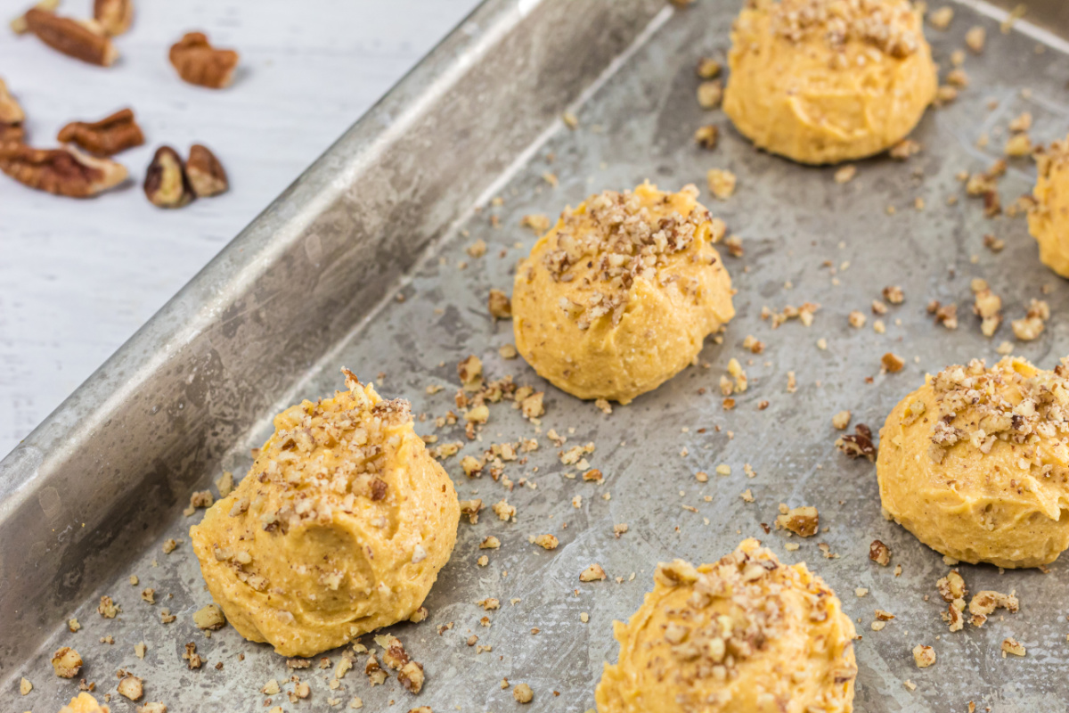 cinnamon on top of keto pumpkin pie fat bombs