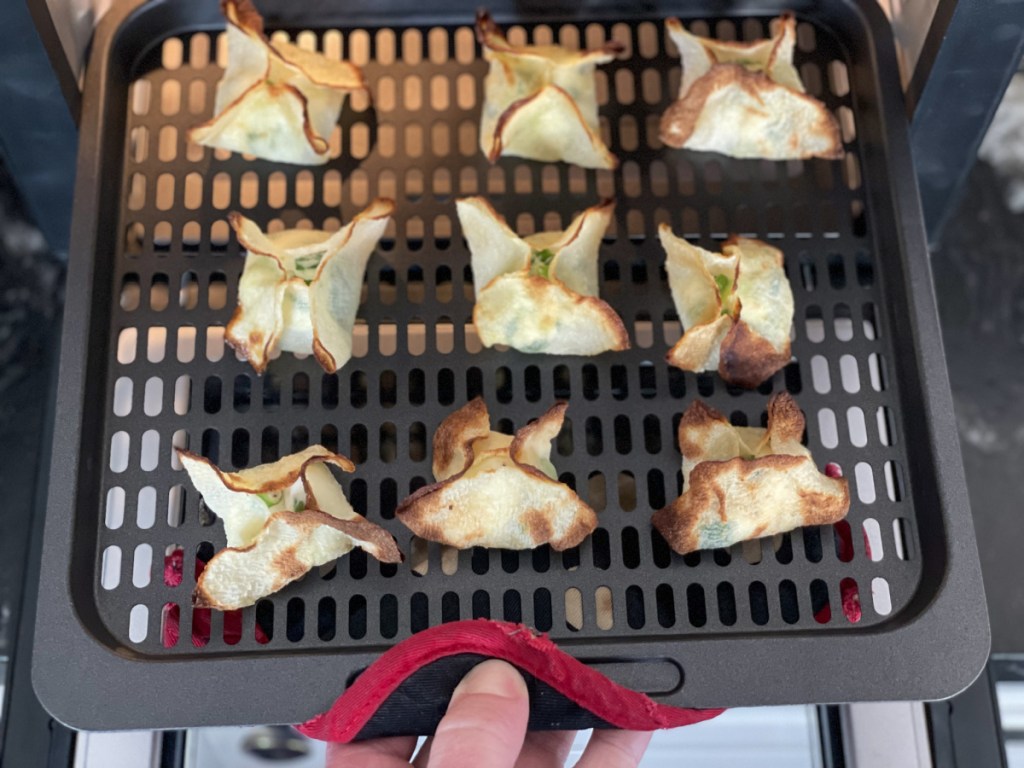 Keto Wontons with Jicama Wraps in air fryer 