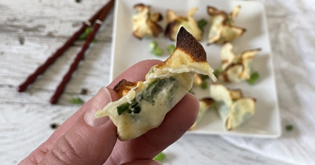 keto wontons