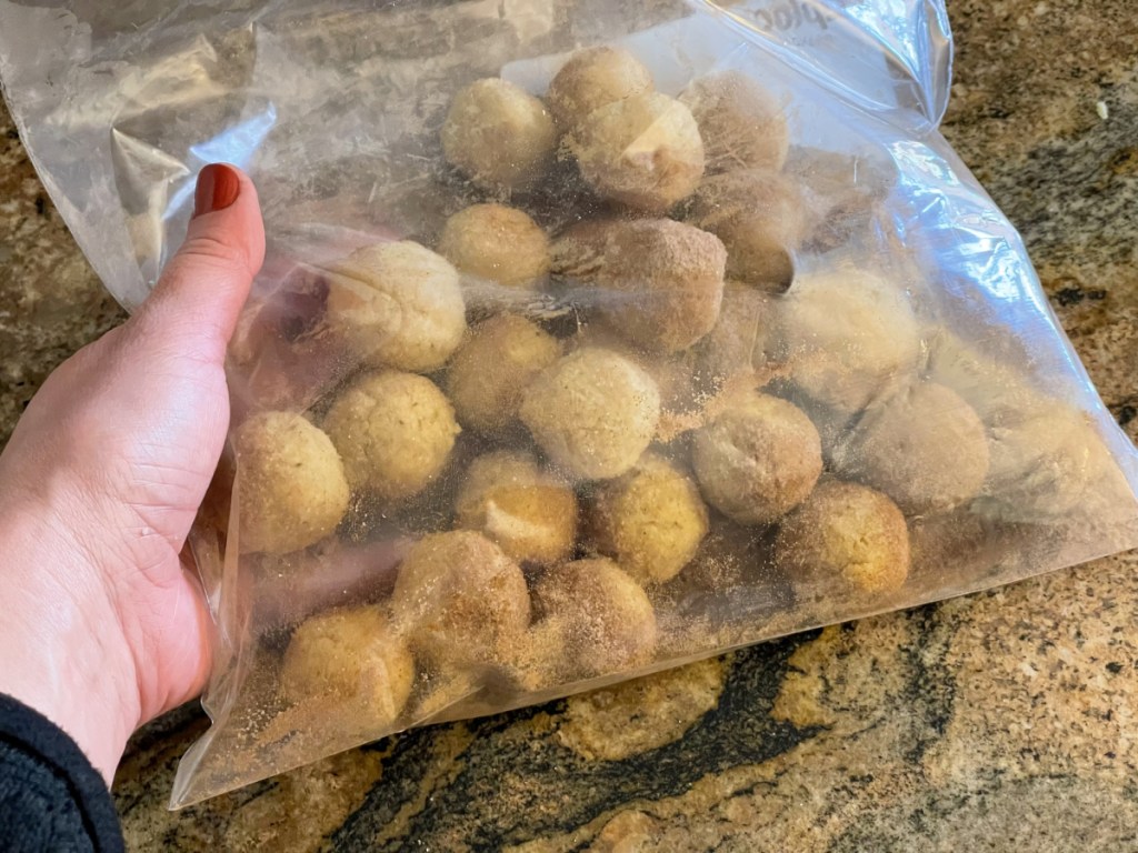 dairy-free dough balls with cinnamon-sugar coating 