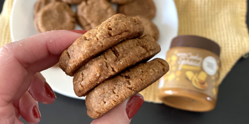 Keto Cookie Butter Cookies – Melt in Your Mouth Good!