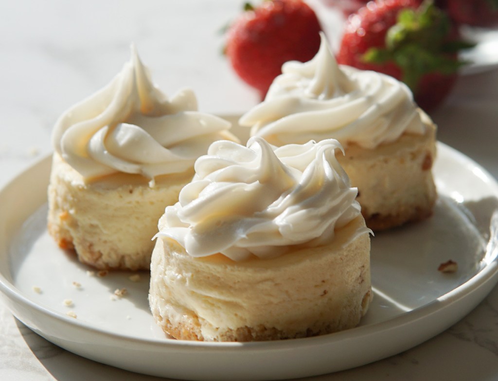 wonder monday mini cheesecake snacks with whipped cream