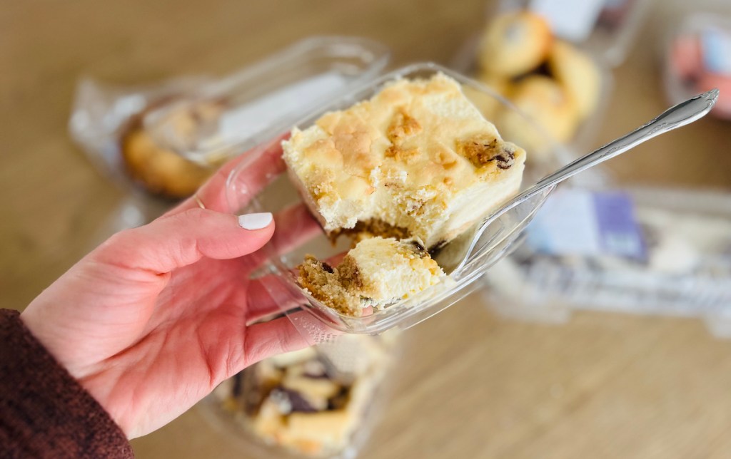 hand holding takeout tray with cheesecake and fork