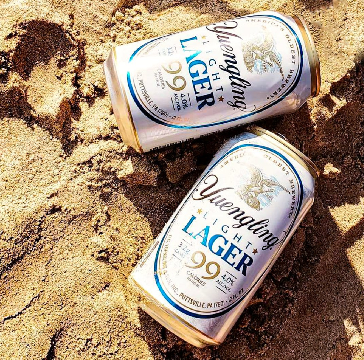 Keto friendly beer Yuengling Light Lager in cans on the beach