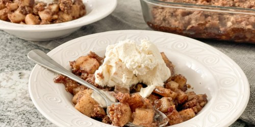 The Best Keto Apple Crisp Recipe Made with a Secret Ingredient