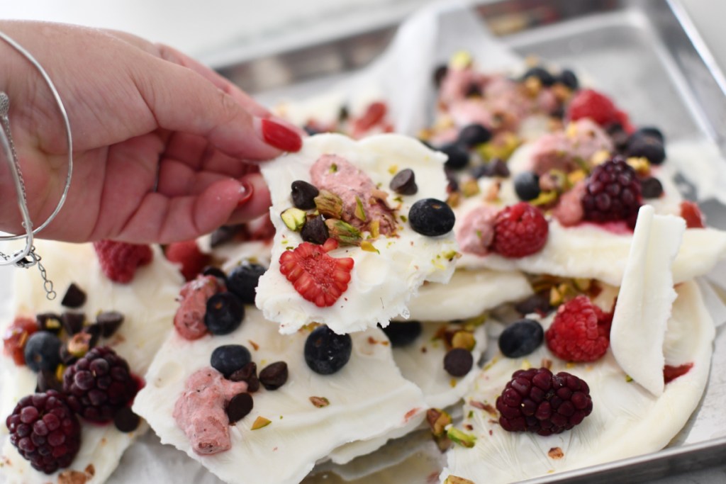 holding a piece of frozen yogurt keto bark