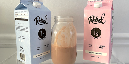 Rebel Milk is the Latest Keto Milk Out There… But is it Worth the Price?